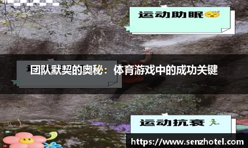团队默契的奥秘：体育游戏中的成功关键